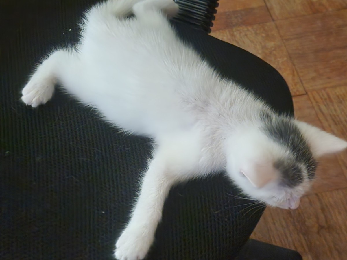 Smudge