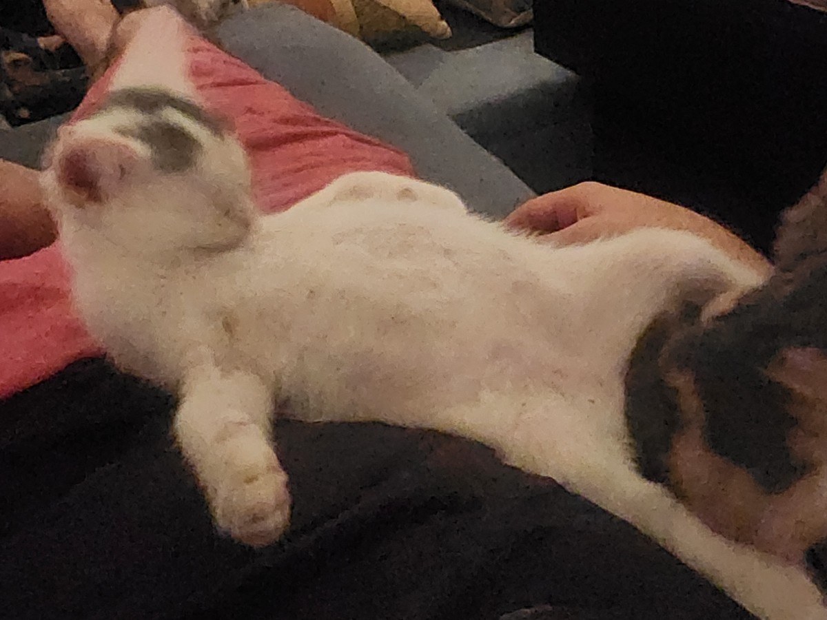 Smudge